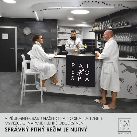 Wellness Svachovka فندق