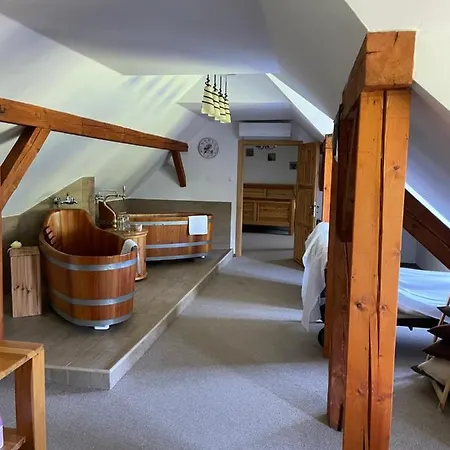Wellness Hotel Svachovka
