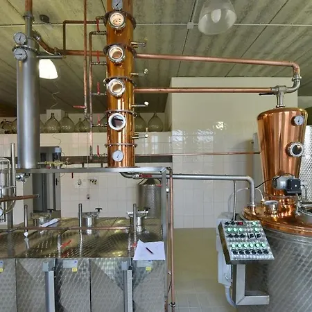 Svachovka 3* Mírkovice