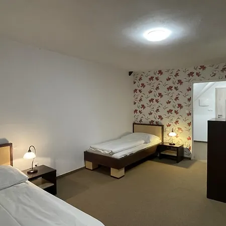 Hotel Wellness Hotel Svachovka