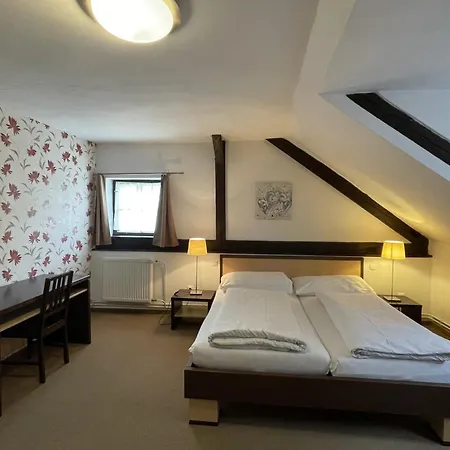 Wellness Hotel Svachovka 3*