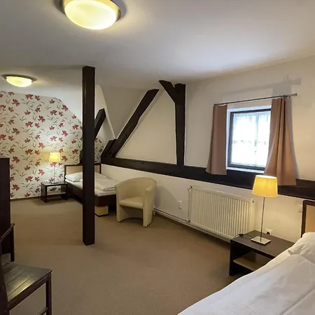 Wellness Hotel Svachovka 3*