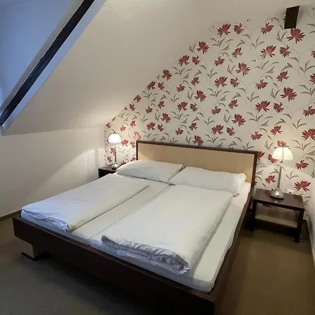 Wellness Hotel Svachovka