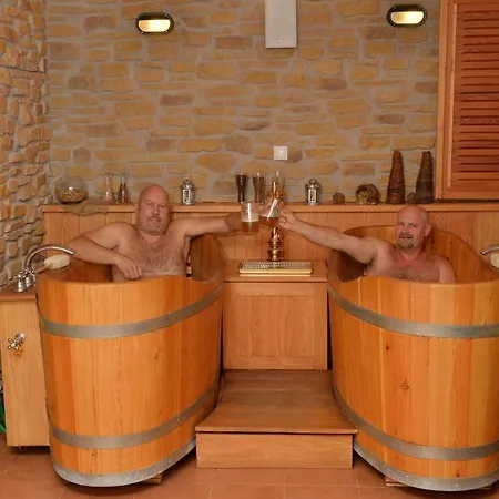 Hotel Wellness Hotel Svachovka 3*