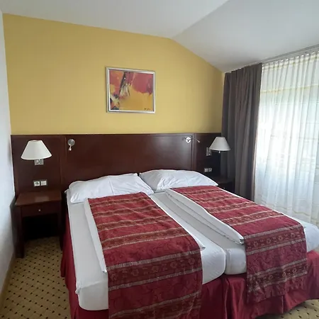 فندق Wellness Svachovka 3*