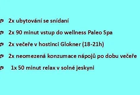 Wellness Svachovka 3*