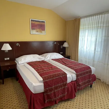 Wellness Svachovka 3*
