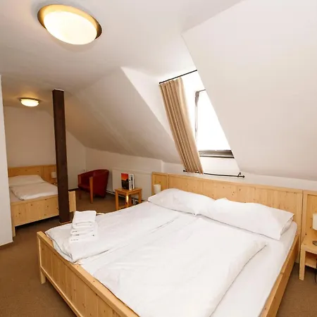 فندق Wellness Svachovka