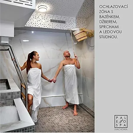 Wellness Svachovka Hotel