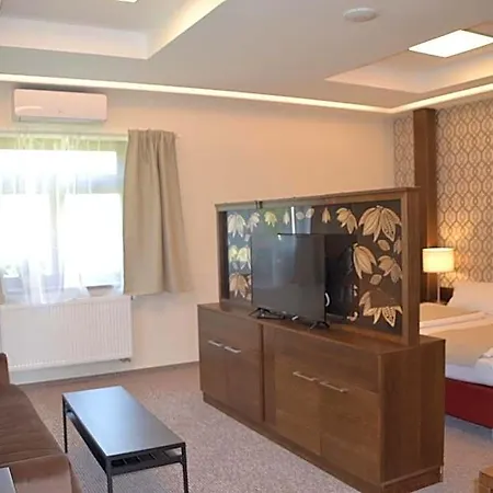 Hotel Wellness Svachovka 3*