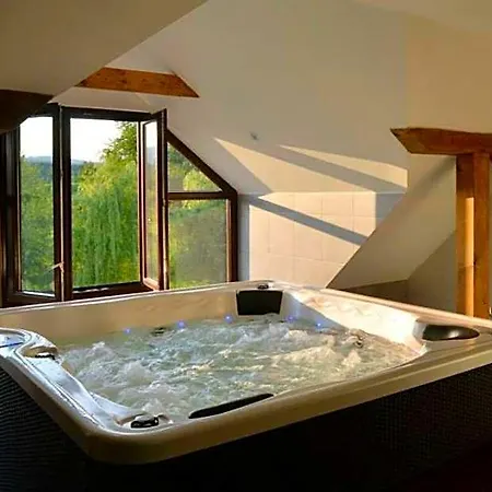 Wellness Svachovka 3* Mírkovice