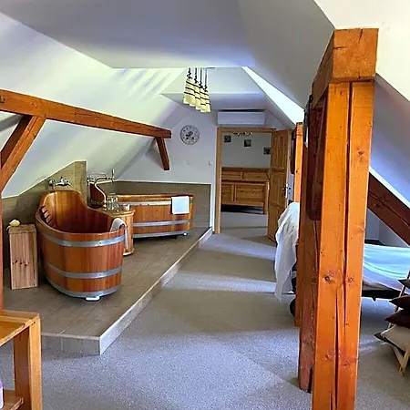 Wellness Hotel Svachovka Отель 3*