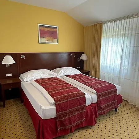 Hotel Wellness Svachovka 3*