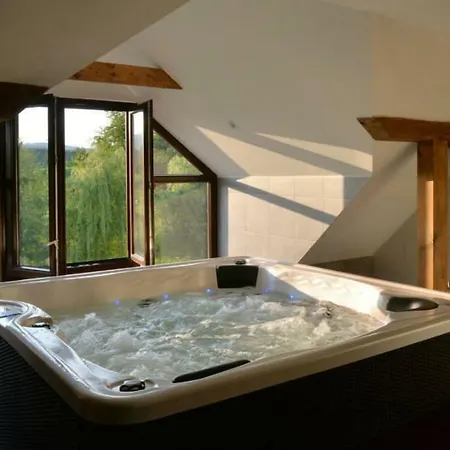 Wellness Svachovka فندق