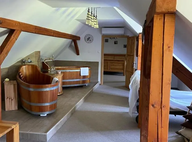 Wellness Svachovka