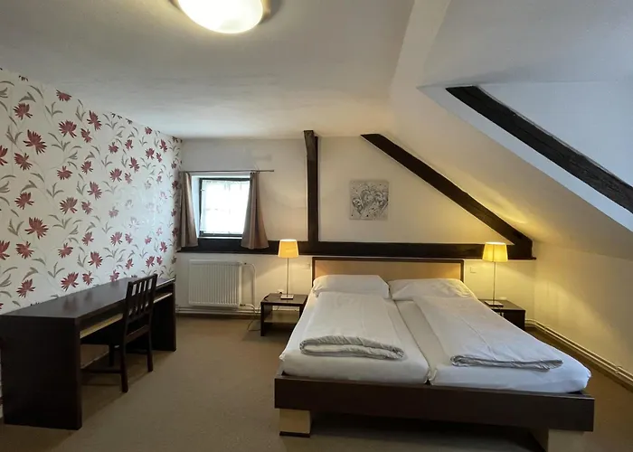 Wellness Svachovka 3*