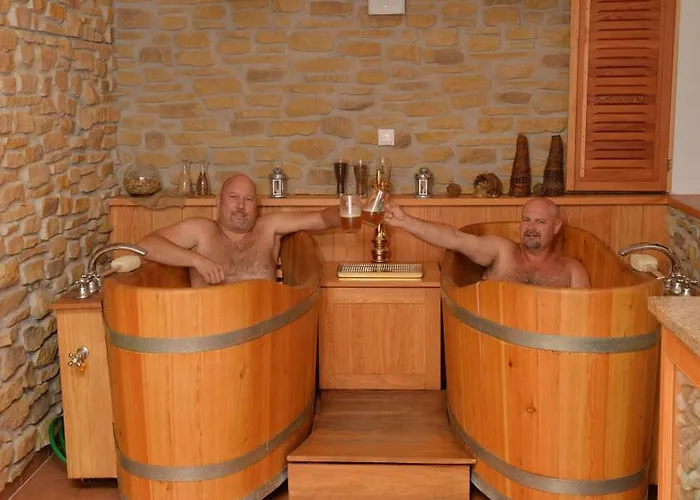 מלון Wellness Svachovka 3*