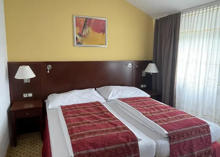 מלון Wellness Svachovka 3*