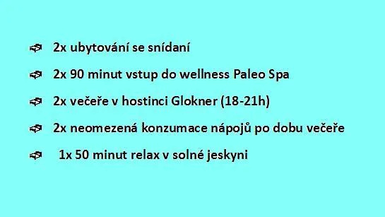Wellness Svachovka 3*