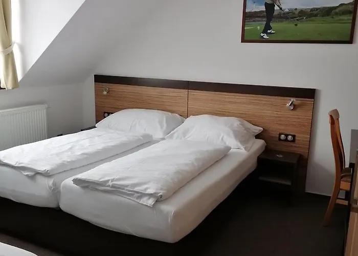Wellness Svachovka فندق