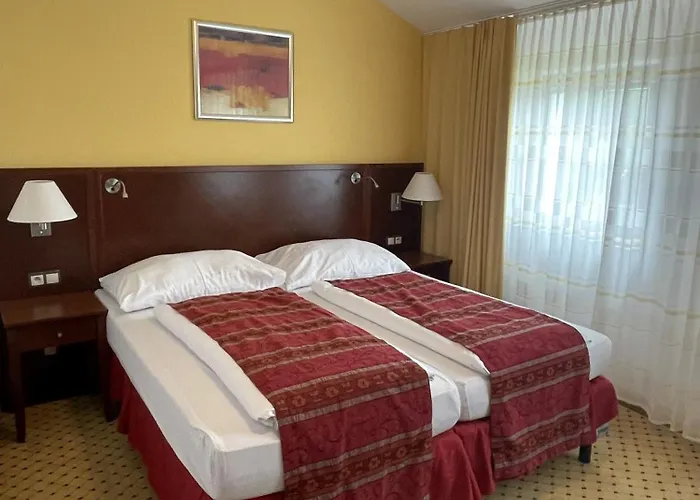 Wellness Svachovka 3*