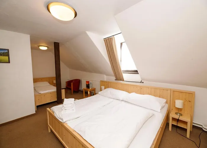 Hotel Wellness Svachovka