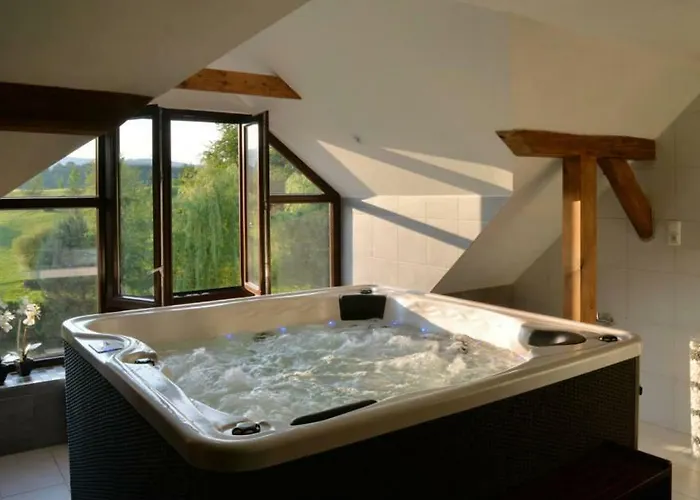 Wellness Svachovka فندق